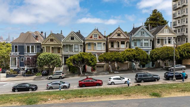 Painted Ladies